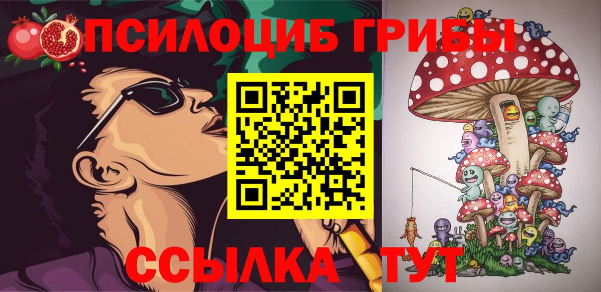 Галлюциногенные грибы Psilocybe Саров